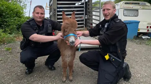 Hampshire Constabulary Two police officer crouched either side of Moon the donkey