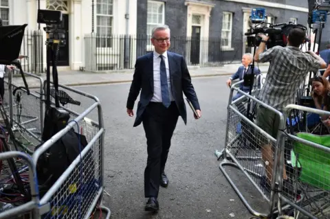 Getty Images Michael Gove