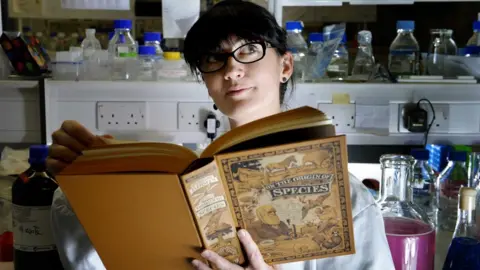 Colin Hattersley Big Bang Weekend