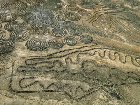 Edward Burtynsky Circles and lines seen on the ground from above