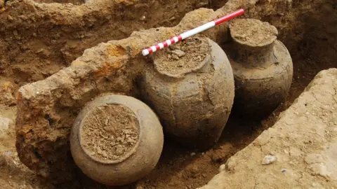 Chichester District Council Pots at the Iron Age grave