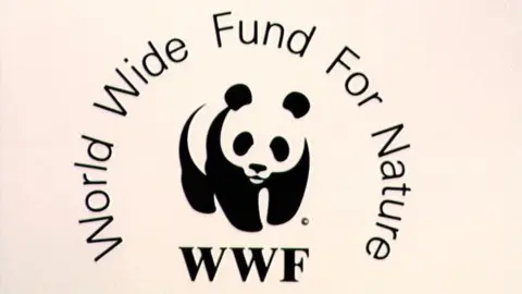 WWF WWF logo