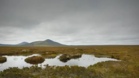 Scottish peatlands