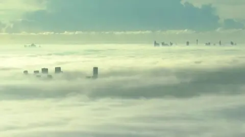 Sydney fog