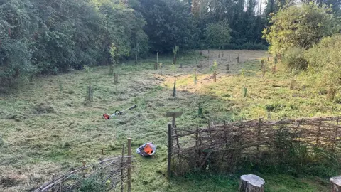 Vernatt's Nature Reserve Recently planted trees