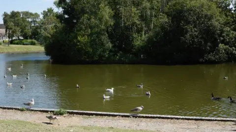 Hailsham Town Council Hailsham Common Pond