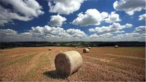 Getty Images Farm