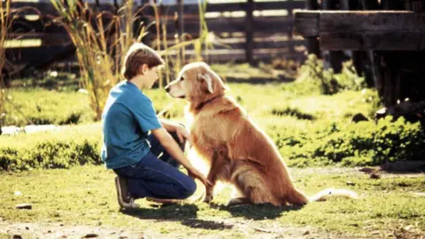 Alamy A young Benj Thall acting in Homeward Bound