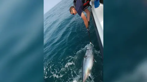 Government of Jersey Marine Resources Man tags bluefin tuna in sea