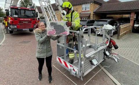 Essex Fire and Rescue Service Rescued Shadow with its owner