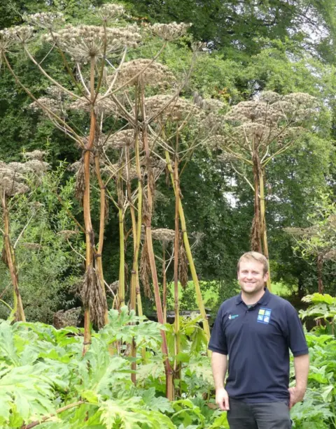 Scottish Invasive Species Initiative  Giant hogweed and SISI researcher