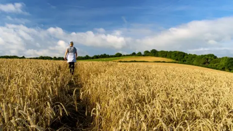 Getty Images Farm in Monmouthshire