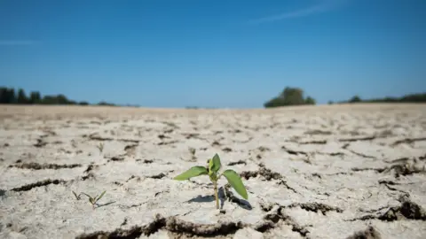 Getty Images drought