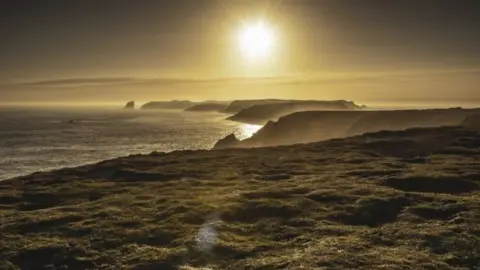 Getty Images Skomer Island