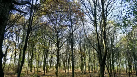 Cumberland Council Cleator Moor