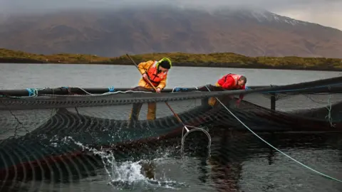 Getty Images Fish farming in Argyll