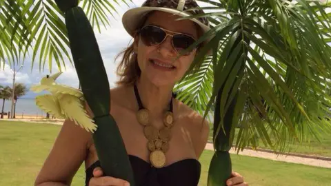 Facebook Lilian Calixto