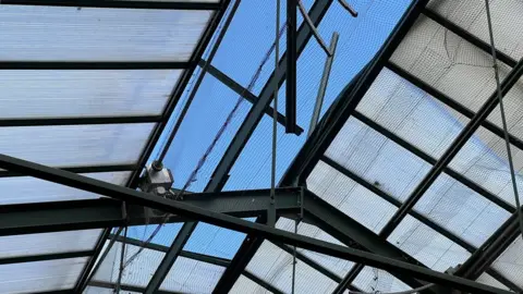 Stuart Woodward/BBC Damaged roof on orangutan enclosure at Colchester Zoo