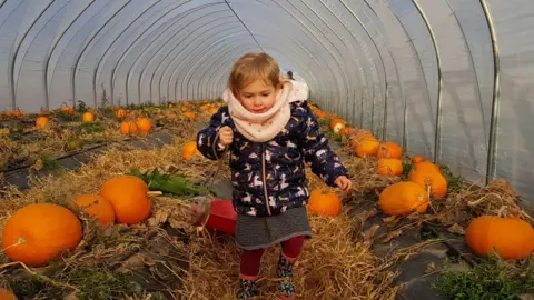 Lucy van Helden Bryony picking pumpkins in Auchterarder