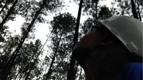 Courtesy Paloma Paloma, wearing her hard hat and goggles, in the forest