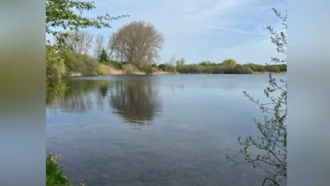 A body of water with greenery around it