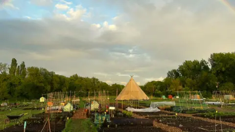 Roots An allotment