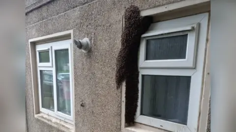 Bees nest at window of property in Milton Keynes