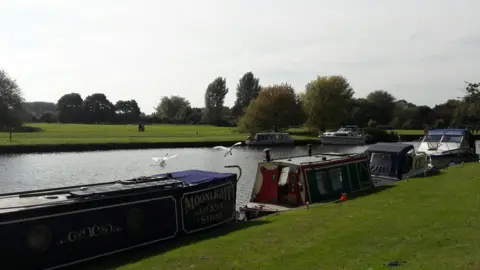 Edith Todd Swans landing in Abingdon, taken by nine-year-old Edith Todd