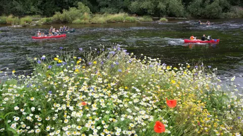 Getty Images Canoes on the River Wye