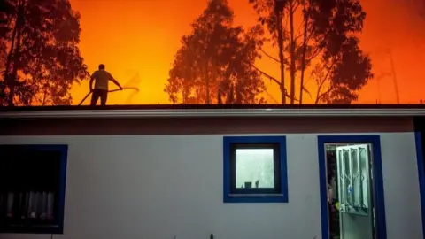 EPA A man tries to fight a forest fire from the roof of his house in Vieira de Leiria, Marinha Grande, Portugal, 16/10/2017