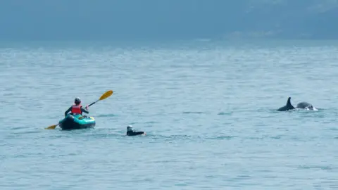 Jonathan Evans Photograph taken of the incident: Kayak and woman in water near dolphins