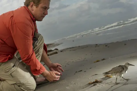 Tim Romano/Smithsonian Conservation Biology Instit Peter Marra releasing a red knot bird after tagging it in Texas