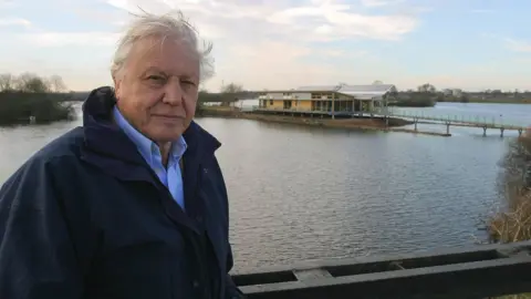 Nottinghamshire Wildlife Trust David Attenborough at Attenborough Nature Reserve