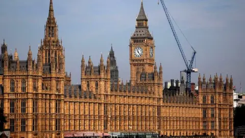 EPA A view of the British Parliament in London