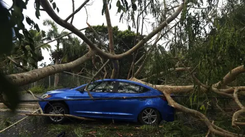 EPA A vehicle is crushed under the weight of a fallen tree in the aftermath of Hurricane Irma in San Juan, Puerto Rico, 7 September 2017