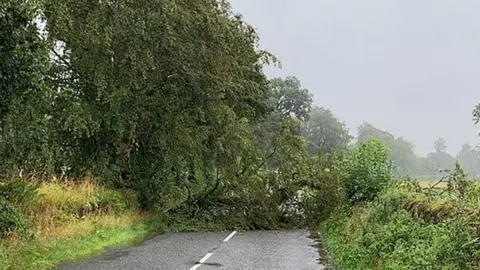 Police Scotland Tree down