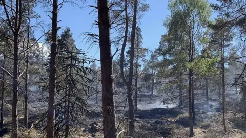 Northumberland Fire and Rescue Service The smouldering woodland in North Northumberland