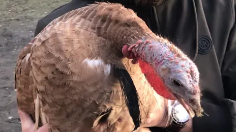 A turkey being held by a man