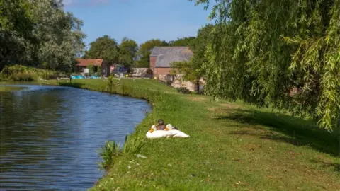 Calbourne Water Mill Geese on the river bank with Calbourne Mill in the background