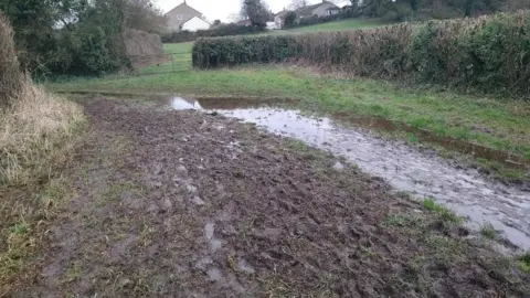 Piddle Path Action Team Bridleway