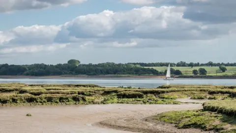 Gill Moon River Stour at Shotley