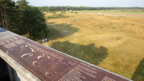 National Trust View from Sutton Hoo tower