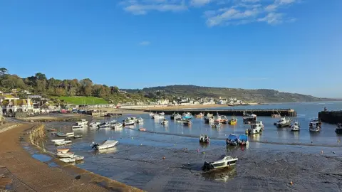 sheela FRIDAY - Lyme Regis