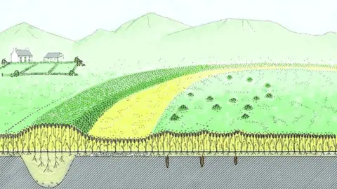 RCAHMW Finally crop marks appear in dry weather