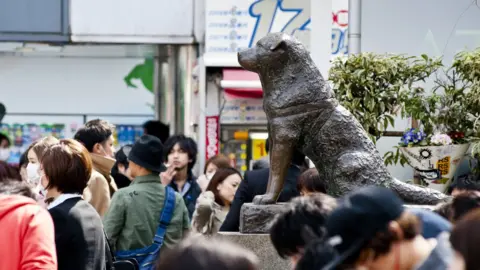 Getty Images Hachiko