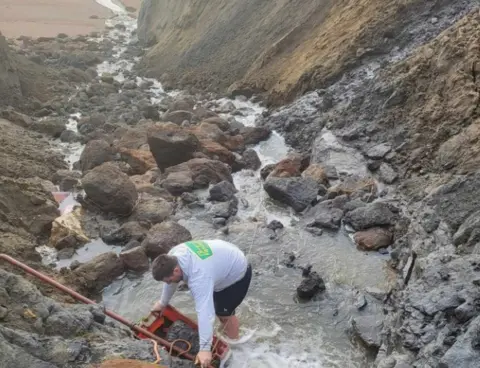  Wight Coast Fossils Ammonite fossil