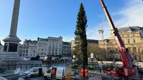 Barry Caffrey Christmas tree being lowered by crane