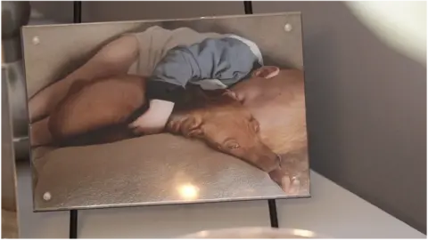 Becky Hanson-Peterson Picture of two-year-old vizsla Jessie with baby