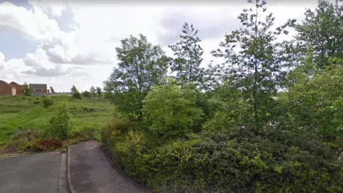 Google Common land behind Alcorn Green