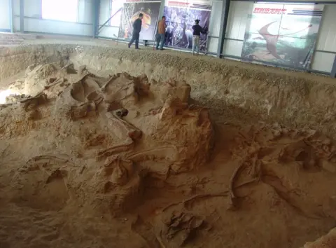 Xu Xing An excavation site with dinosaur fossils exposed in the soil